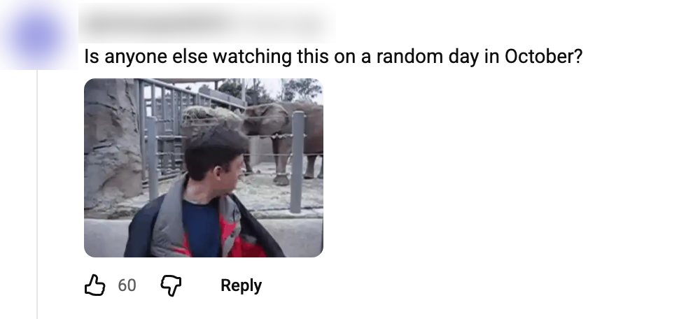A real YouTube comment with an animated GIF under the text, commenter's name blurred